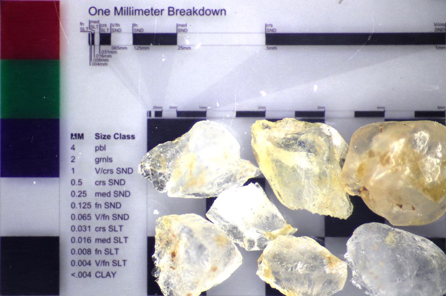 Micro-Photography Sample